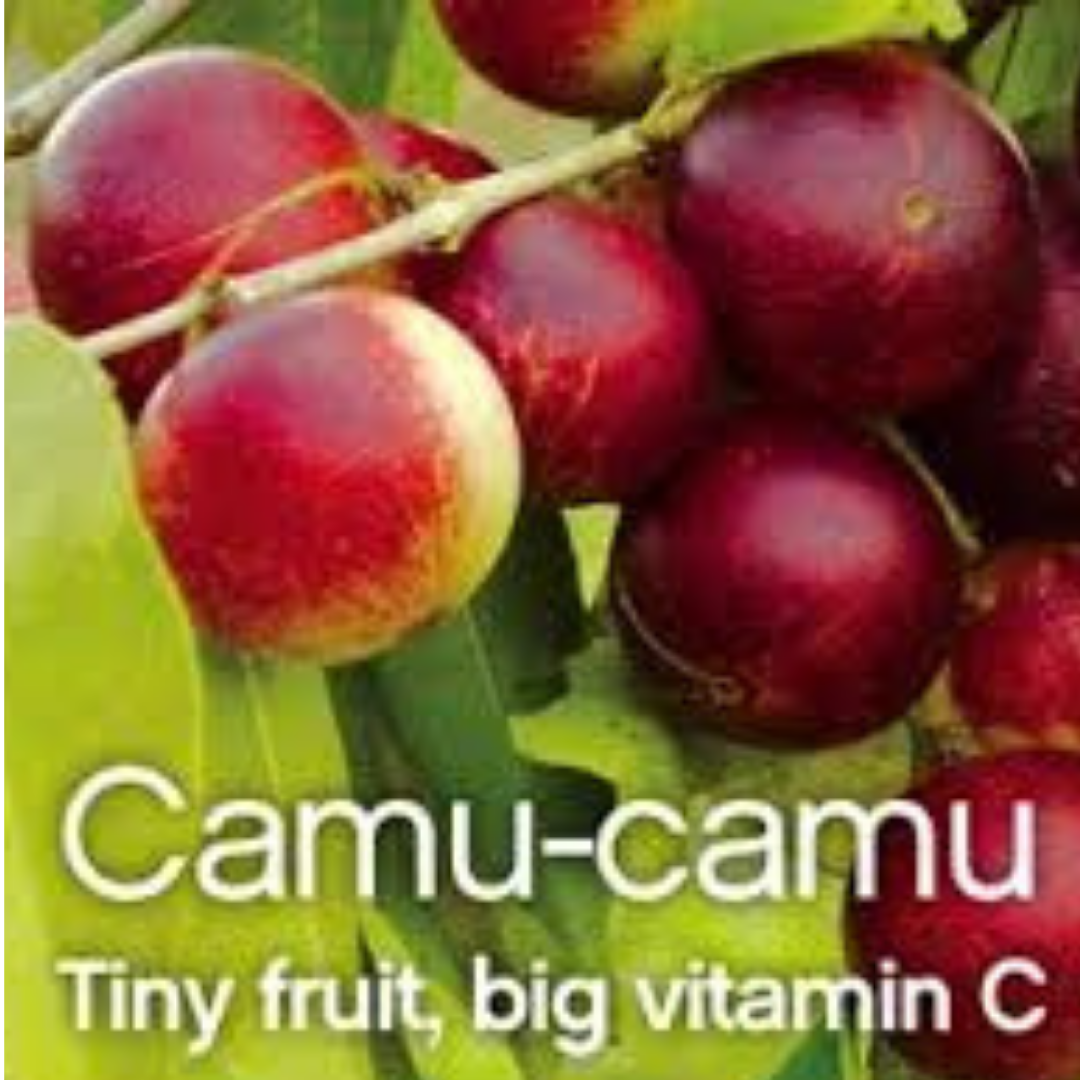 Camu camu buah Eskayvie Malaysia