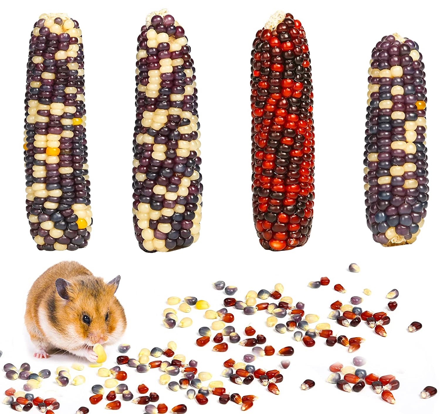 Fresh Look at All Natural Sweet Dried Corn Cob Snack For Hamster Guinea