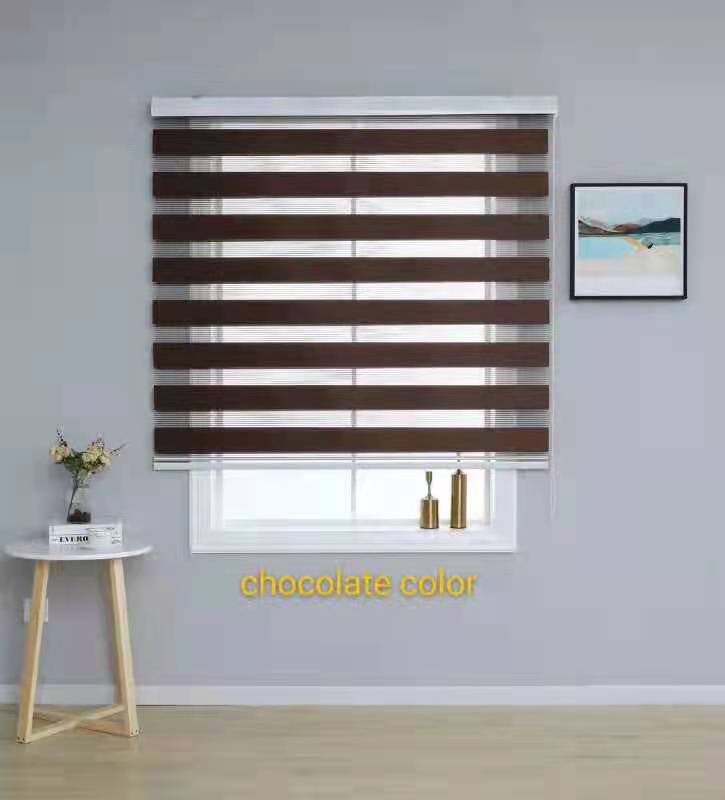 Duo Roller Blinds (NEW COLORS) With Free Pleated Screw Lazada PH