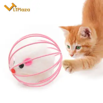 cat toys lazada