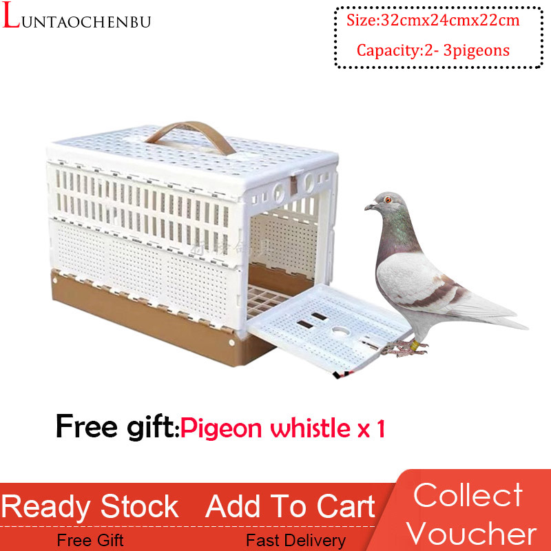 racing pigeons supplies