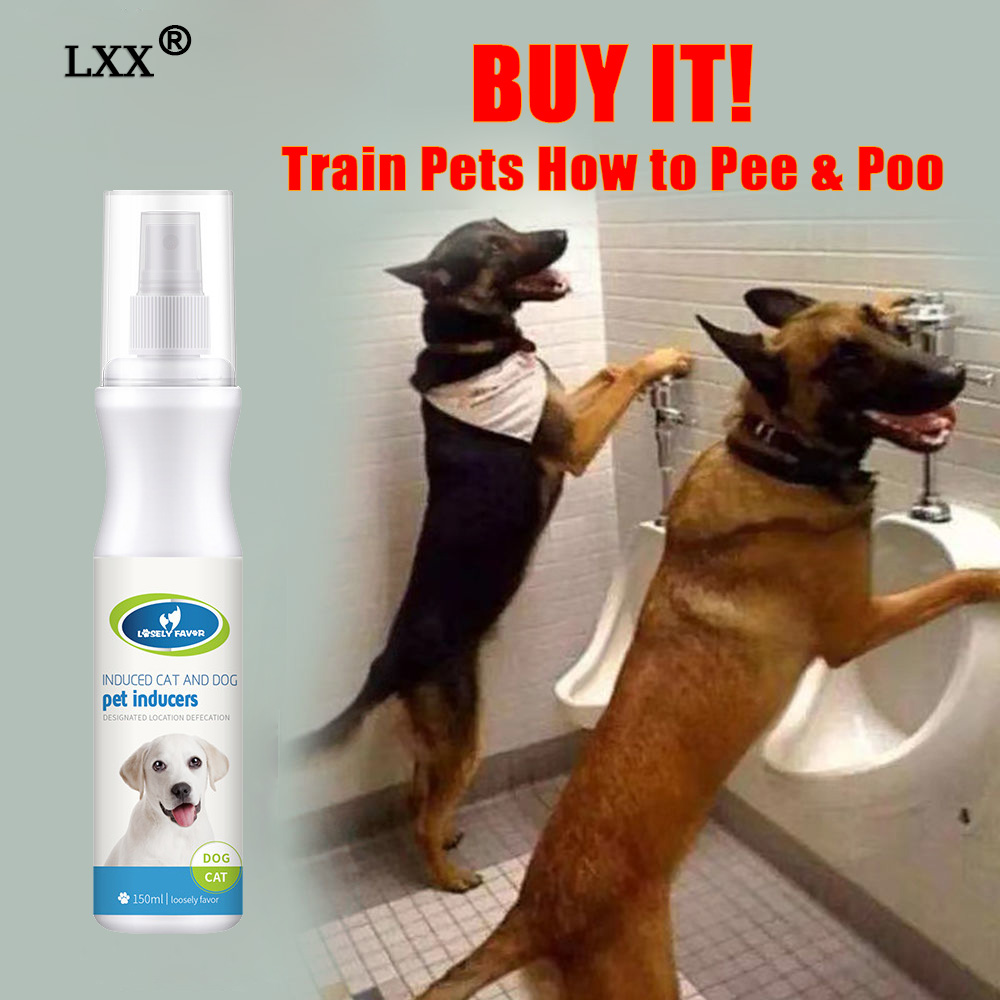 how to train dog to pee in designated area