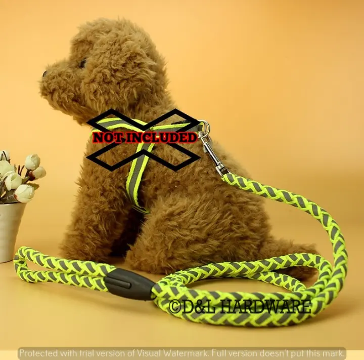 neon green dog collar