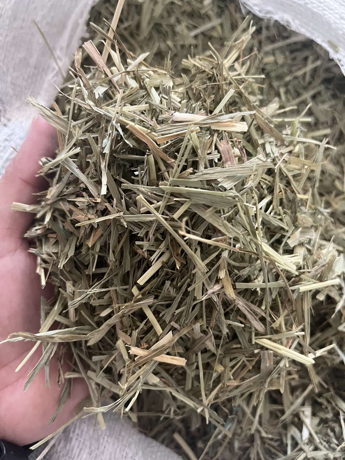 Second Cut Timothy Hay 1 kg | Lazada PH