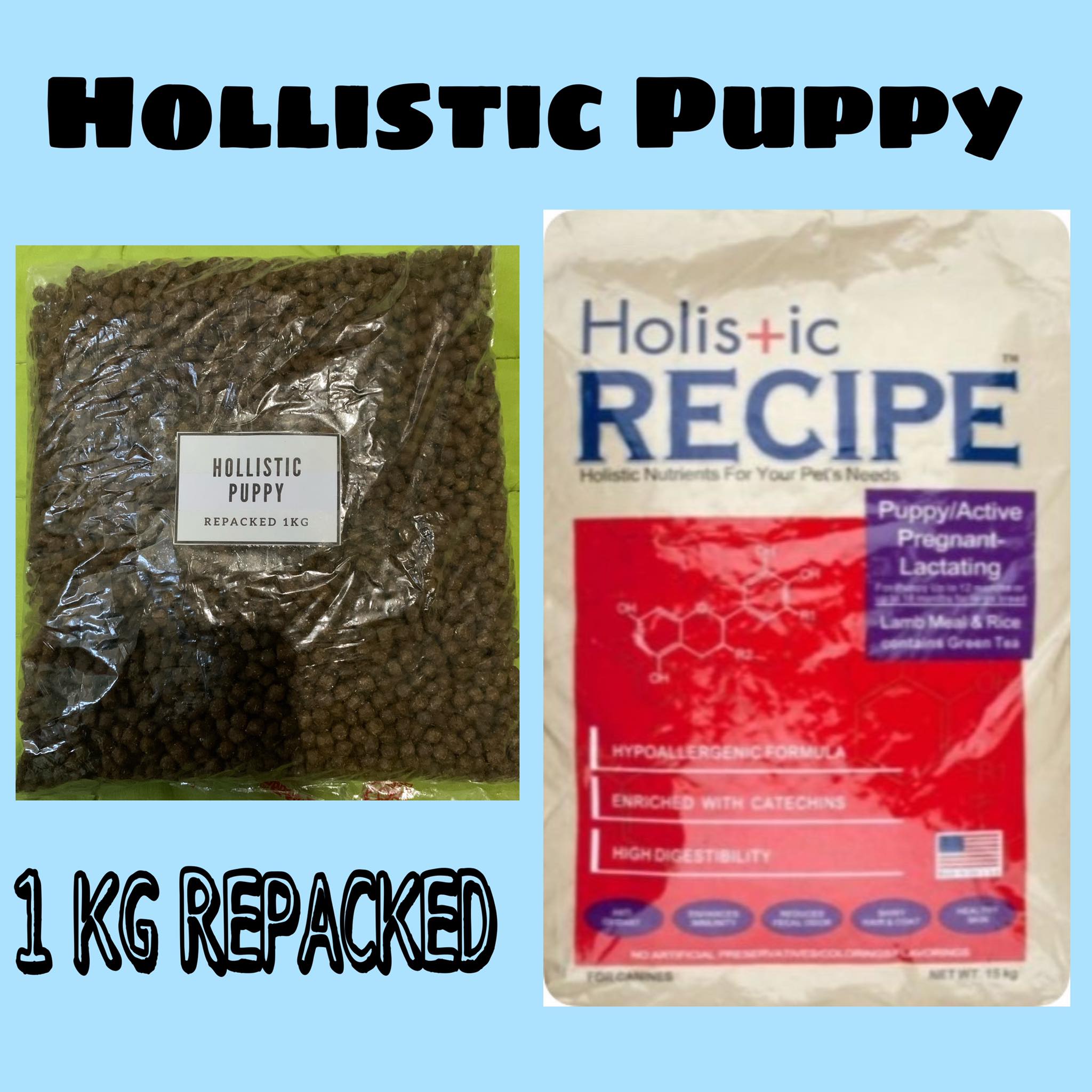 holistic for puppy