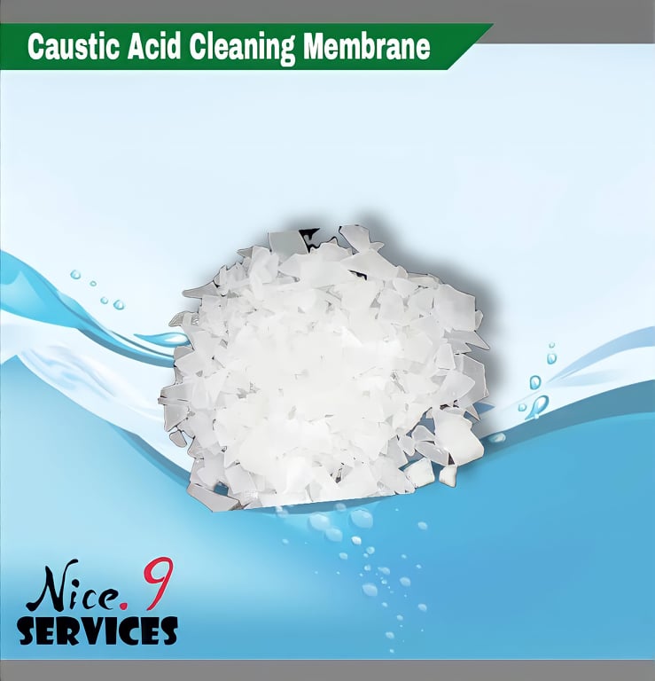 CAUSTIC ACID CLEANING MEMBRANE 1kl Lazada PH