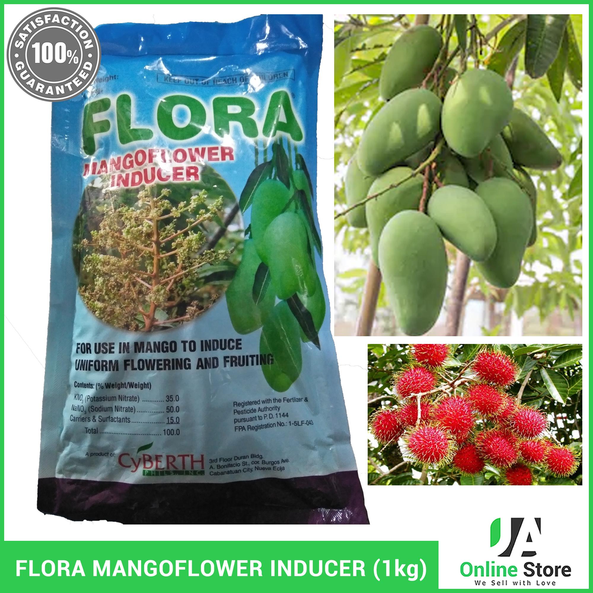 FLORA MANGO FLOWER INDUCER (POTASSIUM NITRATE) 1kg Lazada PH