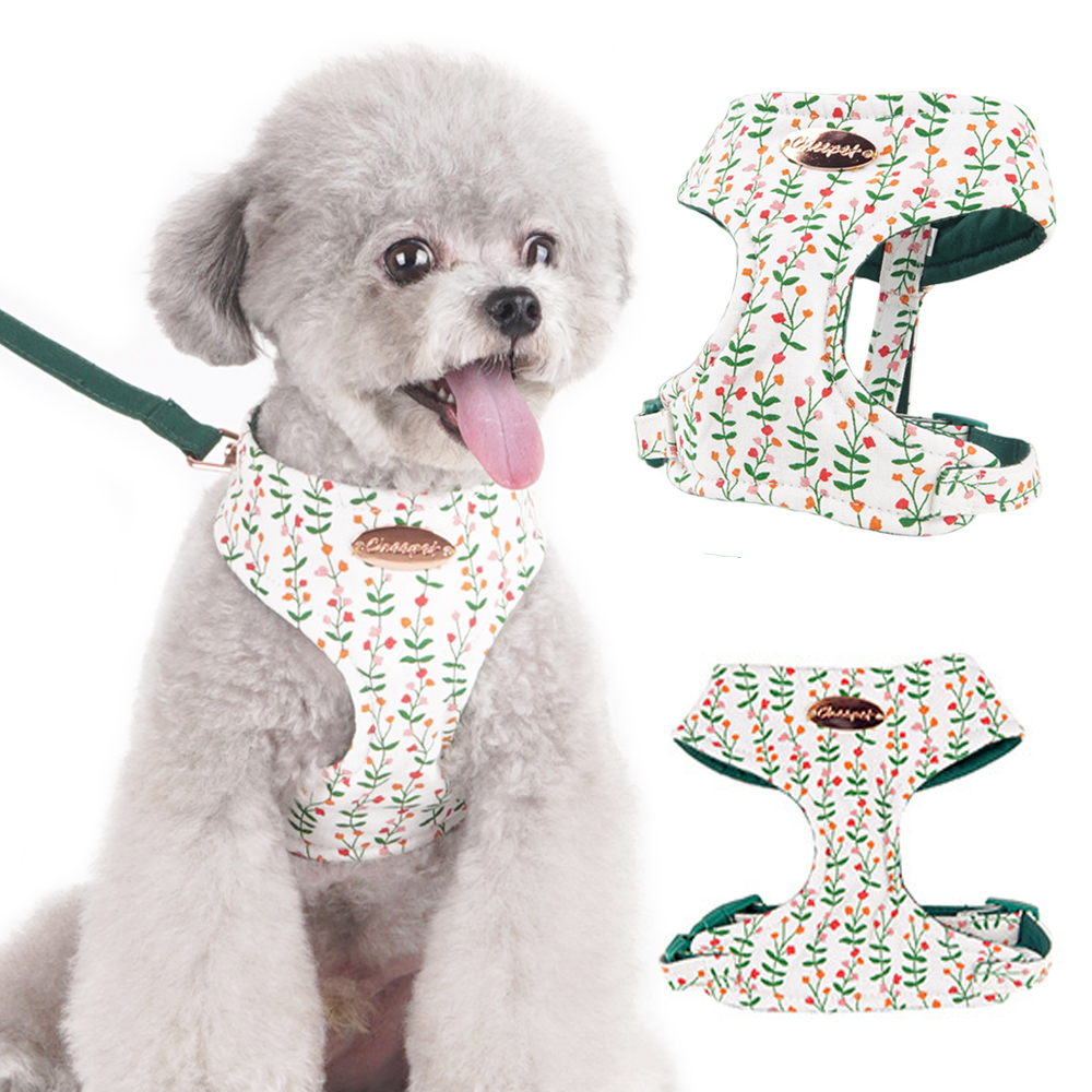 Can Puppy Sleep With Harness On