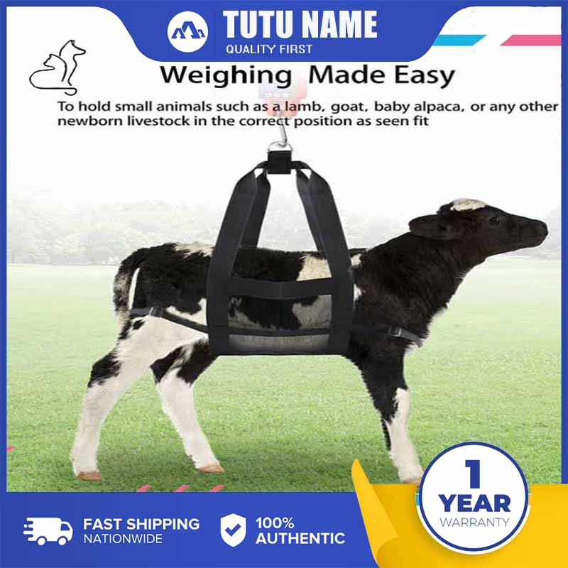 100KG Livestock Weighing Strap Calf Sling Weight Scale Sling for Goats ...