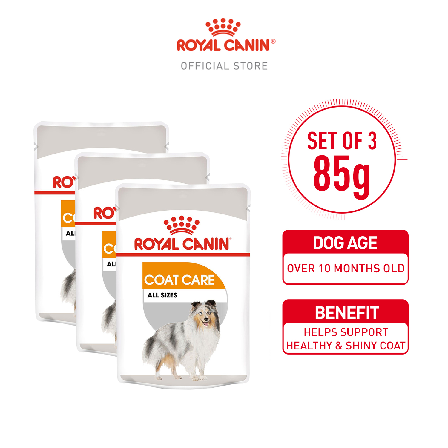 Royal Canin Coat Care Adult Wet Dog Food (85g x 3 Pouches) Canine