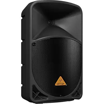 2 way pa speaker