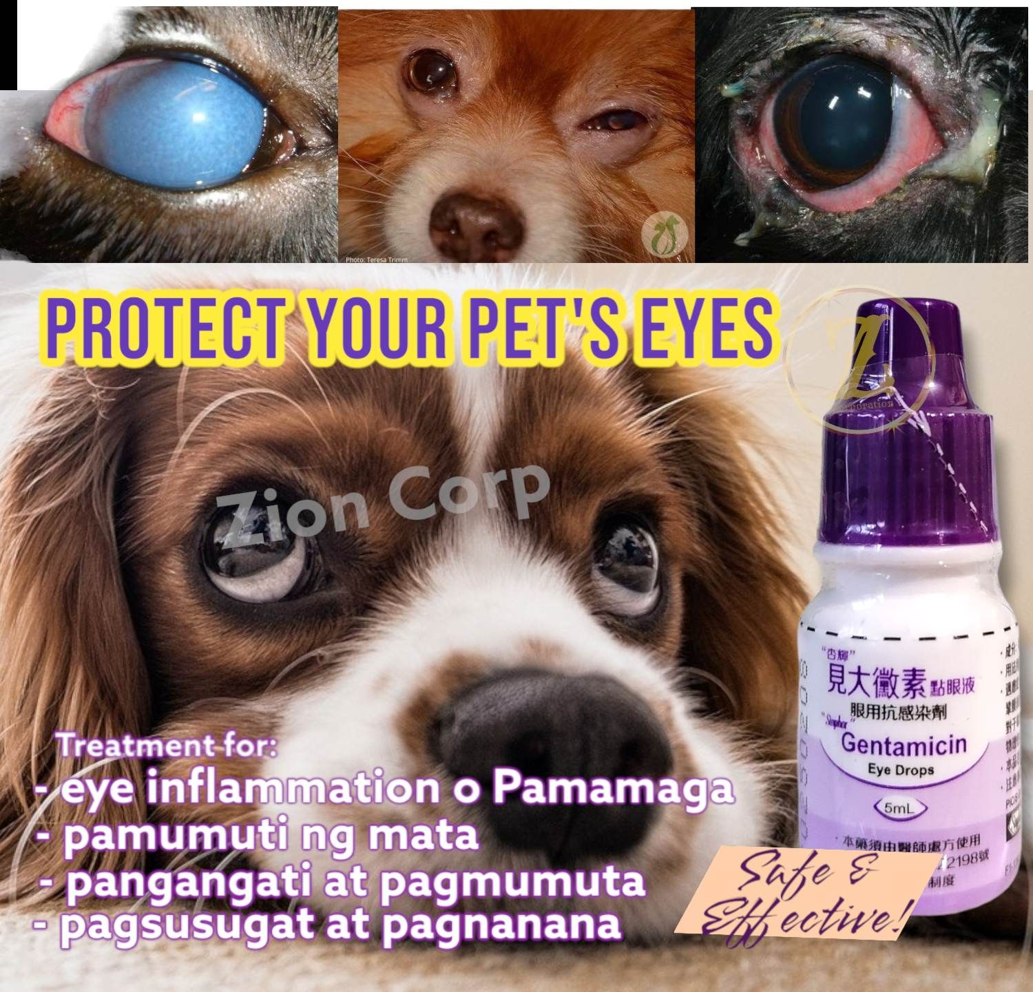 Eyedrops for Pets Dogs Cats birds EYE STAIN CLEANER Cataract Eye