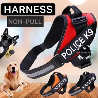 dog equipment for sale