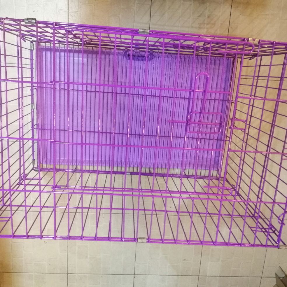 purple dog crate