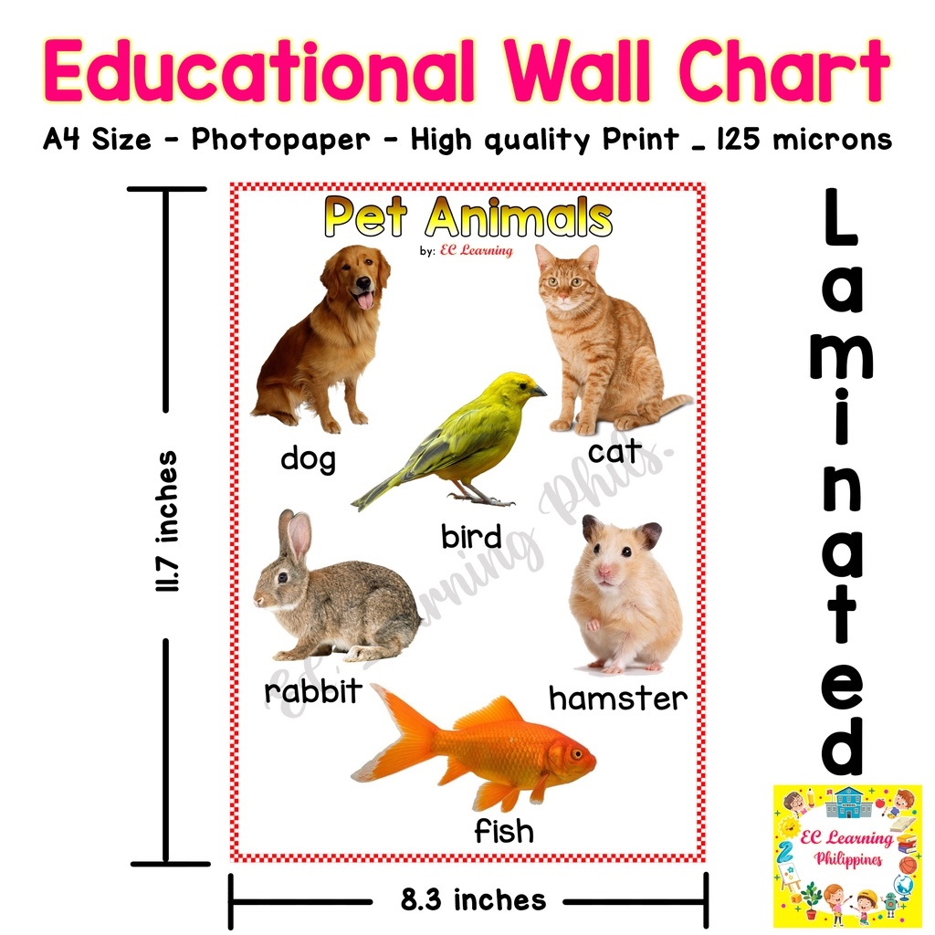 A4 LAMINATED EDUCATIONAL Wall Chart for PAGE 1. ALPHABET CHART | Lazada PH