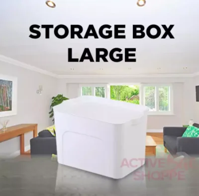 DAU Yvonne Home Clothes Underwear Storage Shelf Organizer Plastic Container Box w/ Handle (Large)
