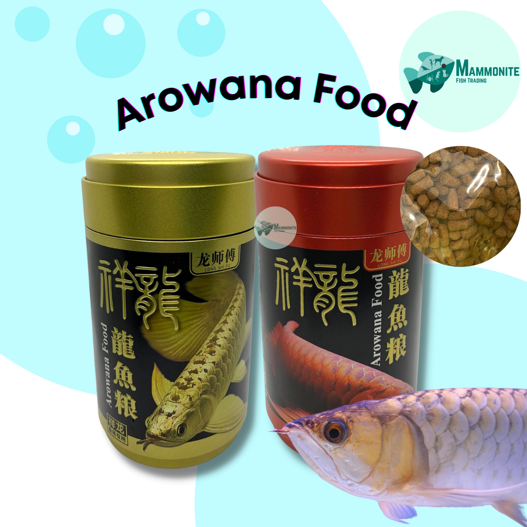 sianlon arowana