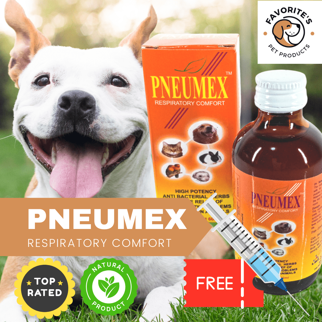 Pneumex Cough Syrup for Dogs and Cats 60ML (FREE Syringe) Lazada PH