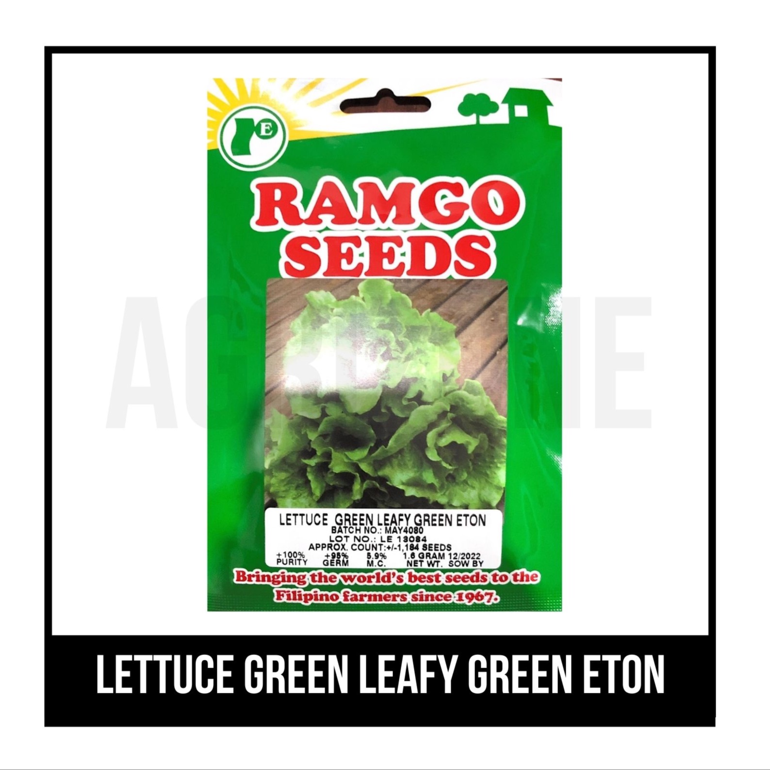 RAMGO Seeds Lettuce Green Leafy Green Eton Lazada PH