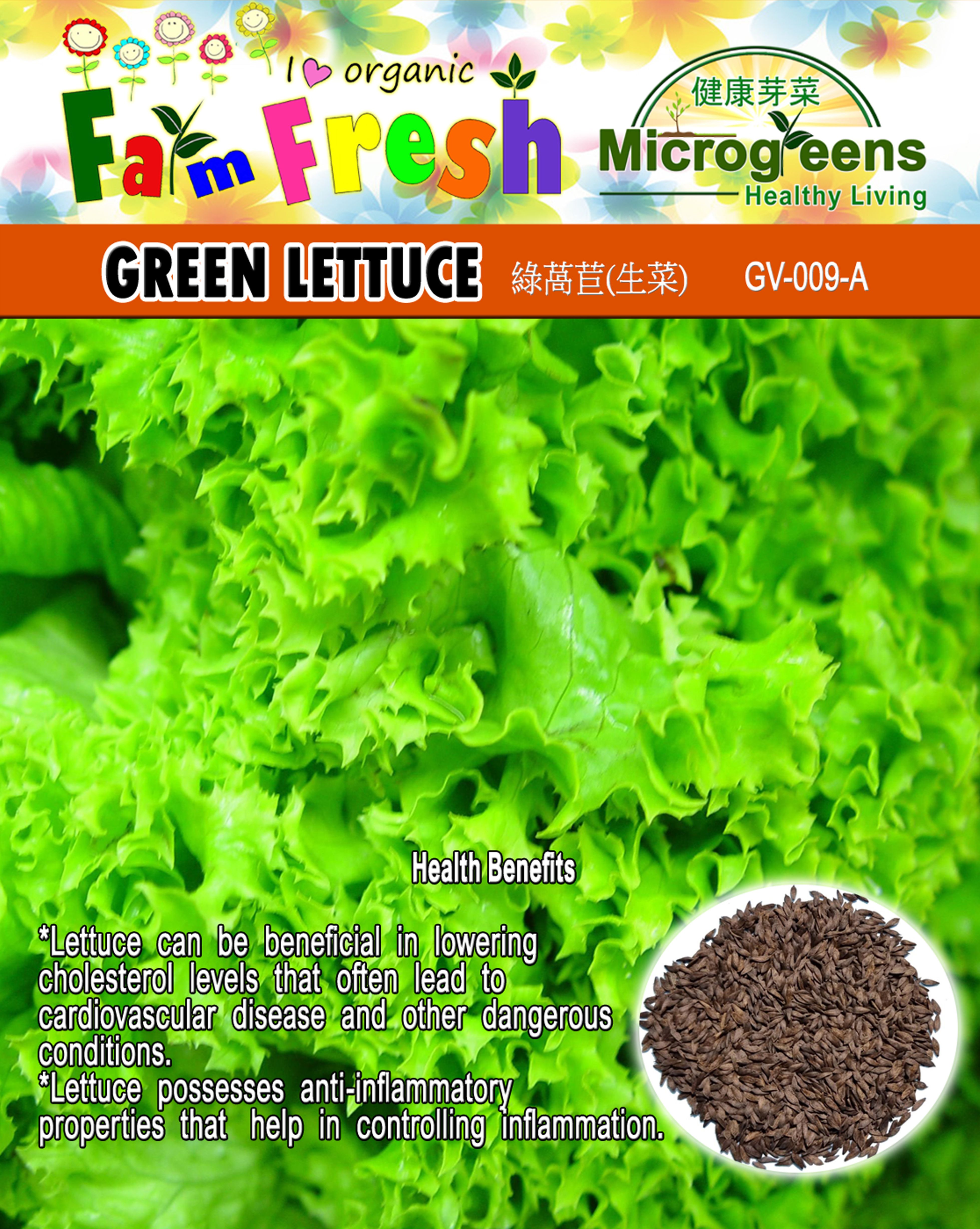 Herbs & Vegetable Seeds (Bigger Packed) (Lettuce Red and Green, Pechay ...
