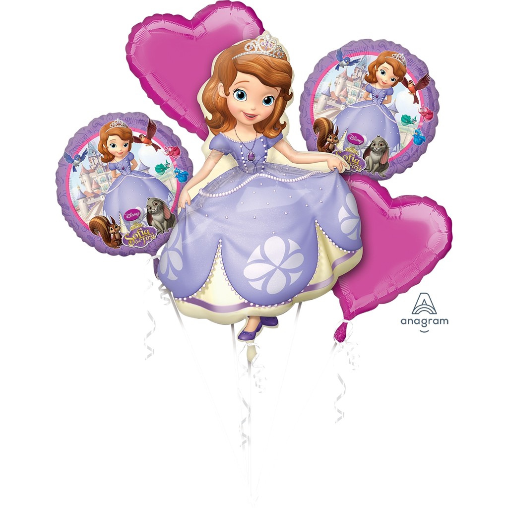 5in1 Foil Balloon Mylar Set Sofia the First Cartoon Character Happy  Birthday Theos events and party | Lazada PH