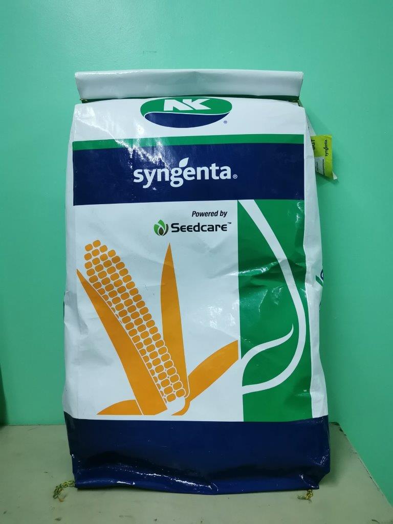 SYNGENTA NK CORN SEEDS | Lazada PH