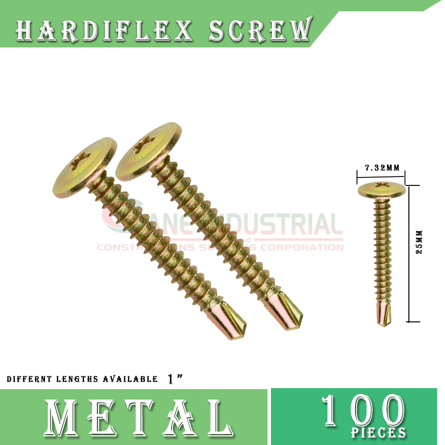 Hardiflex Screw ( Gold Color) Lazada PH