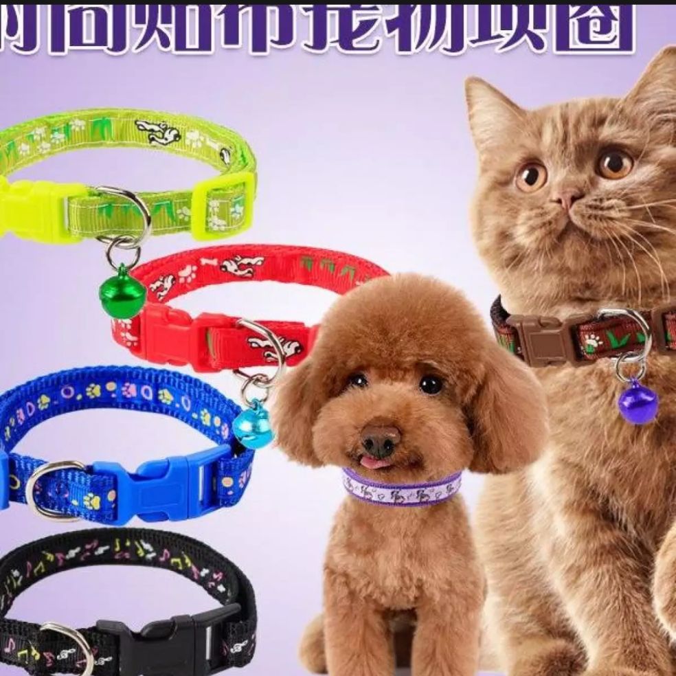 buy dog collars online