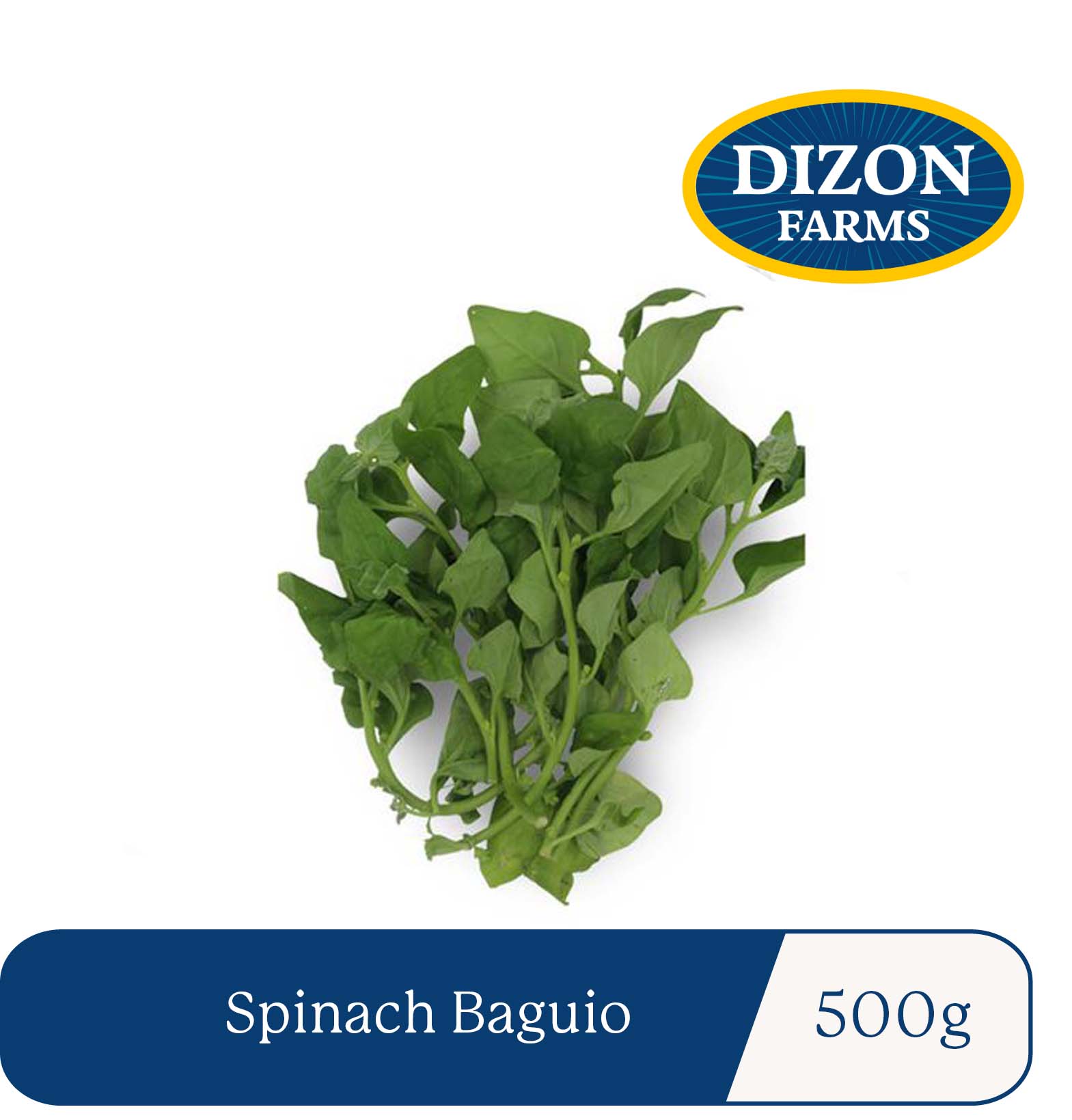 Dizon Farms Spinach Baguio / 500g Lazada PH