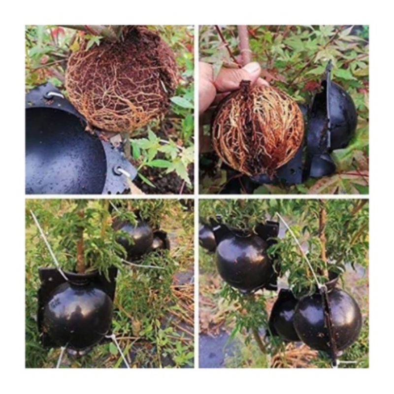 Plant Rooting Balls Reusable Grafting Box High Pressure Propagation