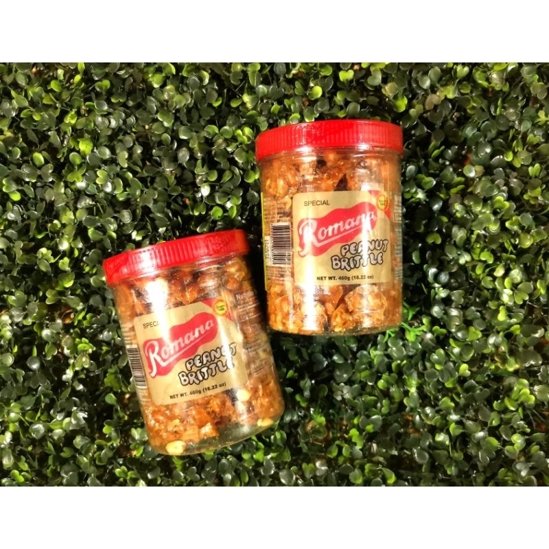Delicious Special Romana Peanut Brittle Lazada PH