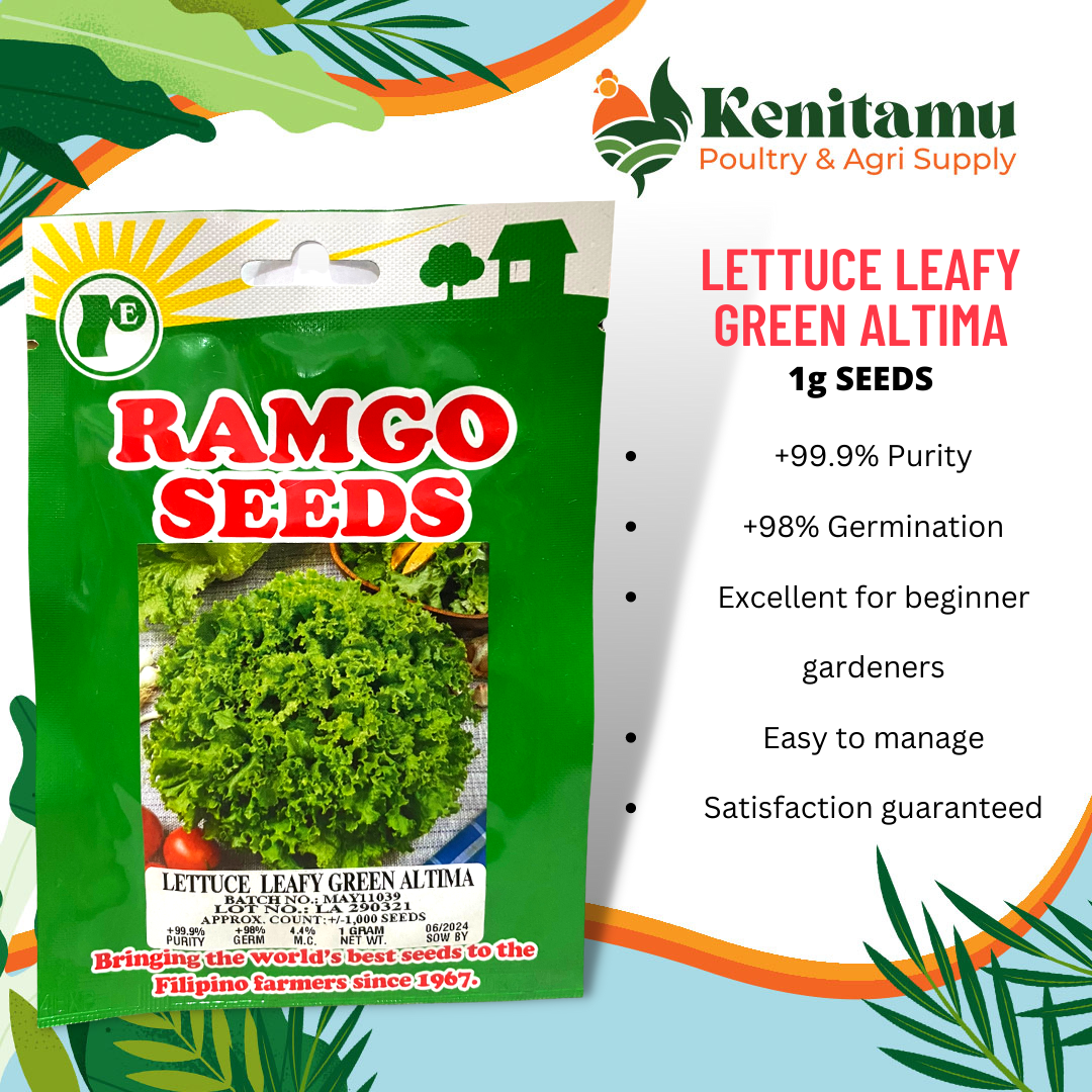 RAMGO SEEDS - Lettuce, Tomato, Hot Peppers, Bell peppers, Watermelon ...