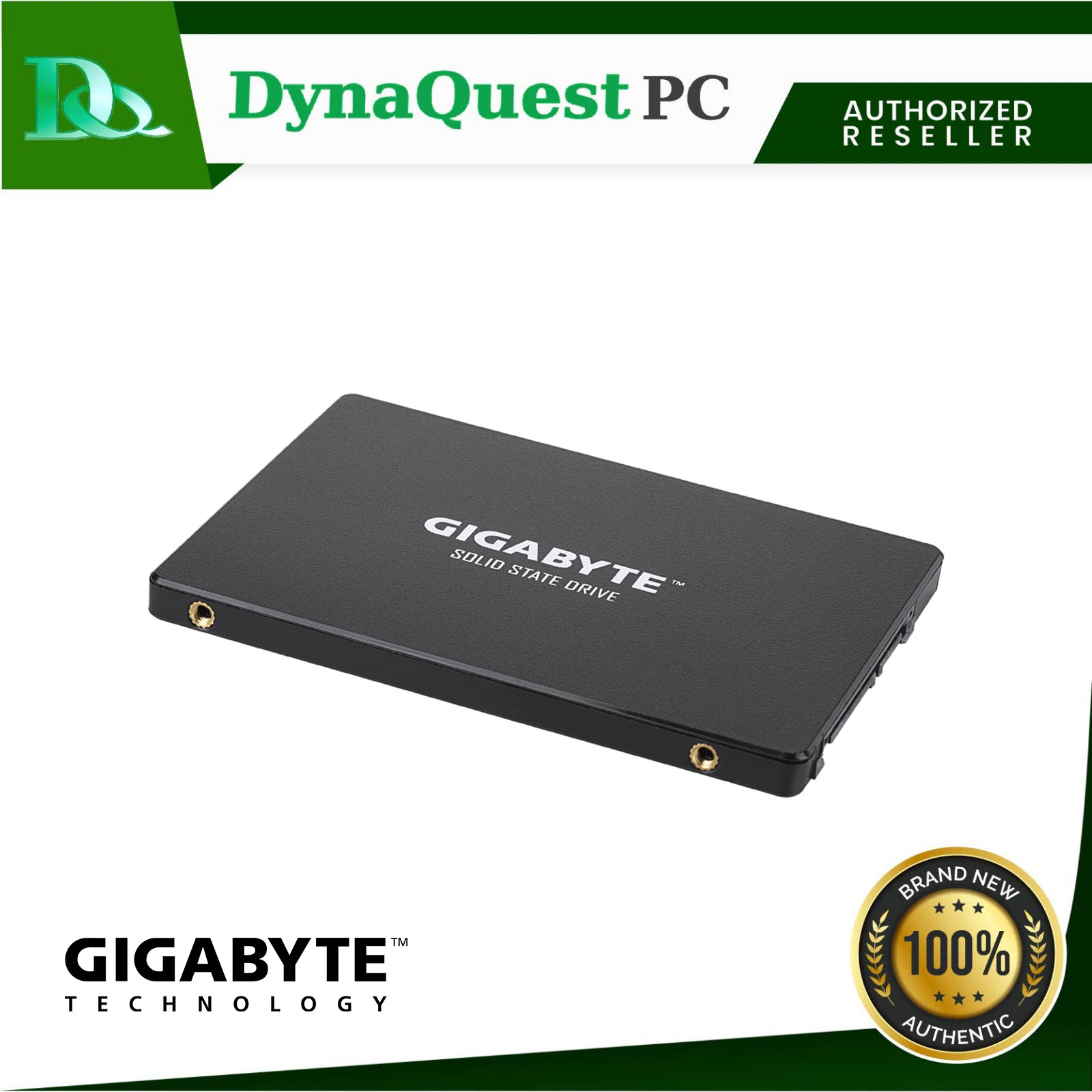 Gigabyte GP-GSTFS31100TNTD disque SSD 2.5 1 To SATA au meilleur