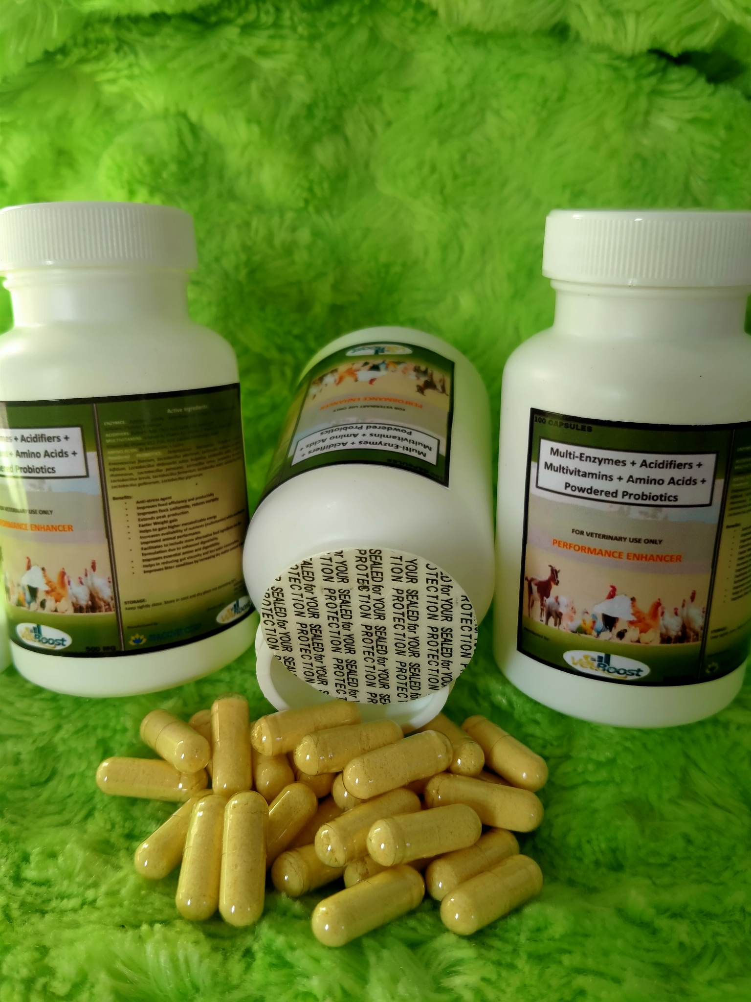 multi-enzymes-acidifier-multivitamins-amino-acid-plus-powdered