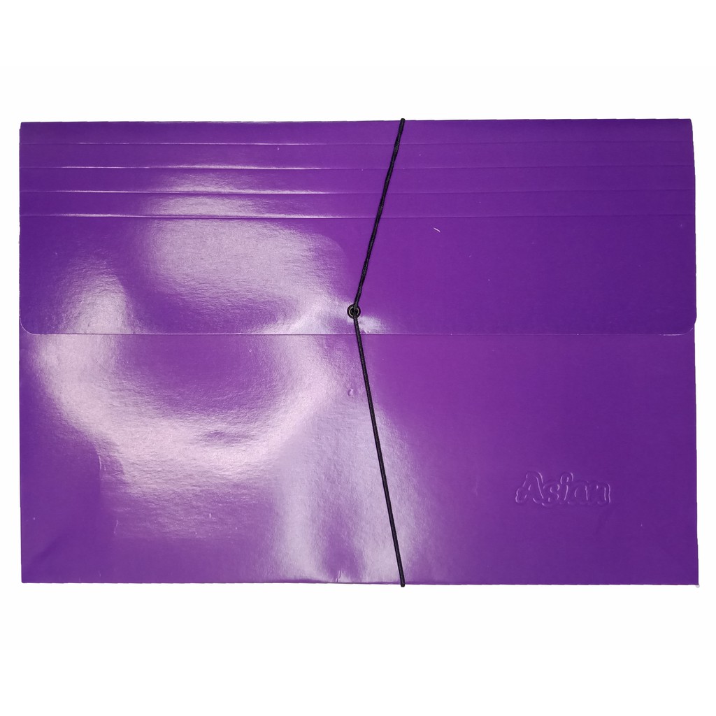 VKS PortfolioExpandable Envelope with Elastic String (Long) Violet