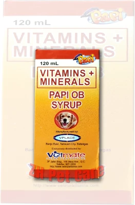 PAPI OB SYRUP Vitamins + Minerals (120ml)