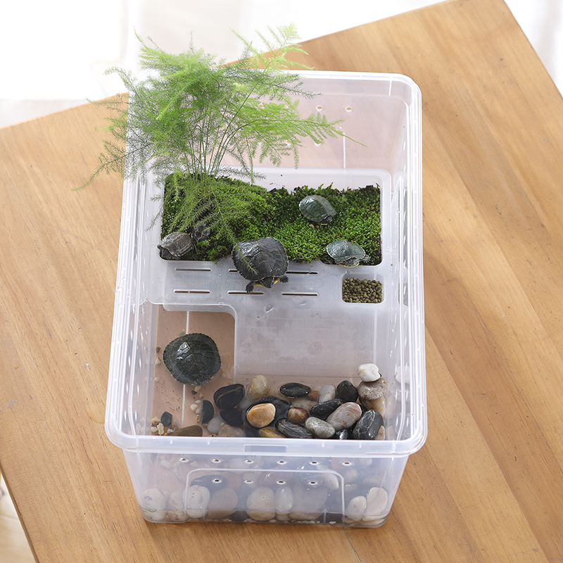 Plastic Small Turtle Cylinder Provided with Balcony Landscape Small Pet