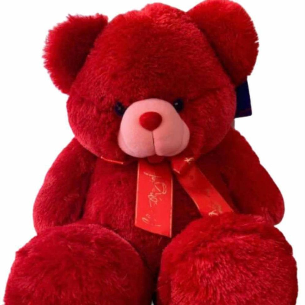 blue-magic-red-teddy-bear-lazada-ph