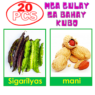 SMC SHELF Vibrant Veggie Adventures:Mga Gulay sa Bahay Kubo - Essential ...