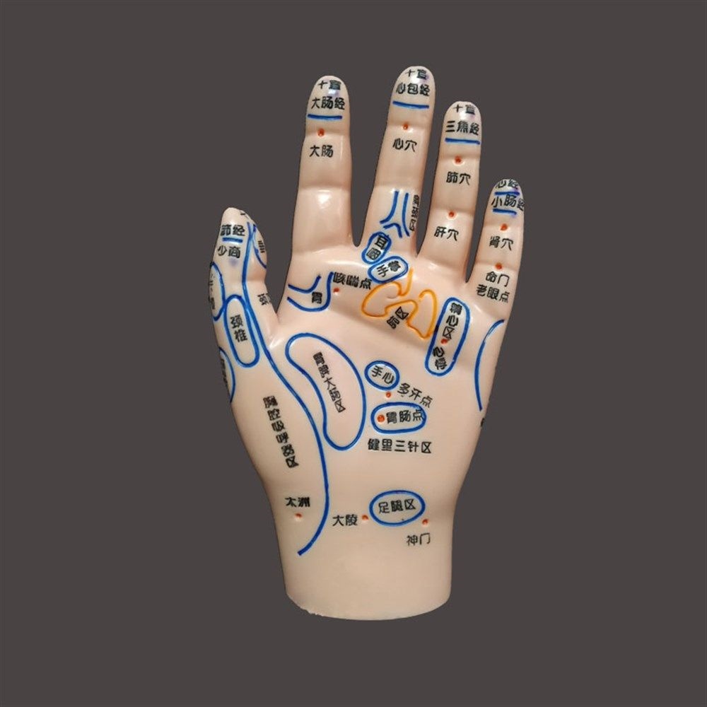 Meridian figure pediatric hand acupuncture point massage model of human ...