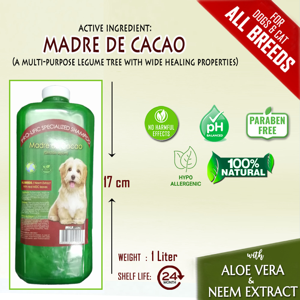 anti galis shampoo for dogs