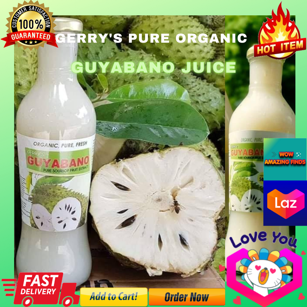 Gerry S Pure Guyabano Soursop Juice 500 Ml Lazada Ph