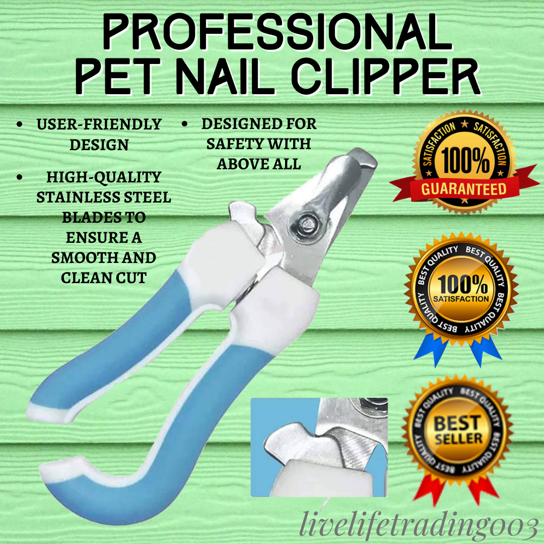 DaySmart | A Complete Guide on How to Choose the Right Pet Nail…