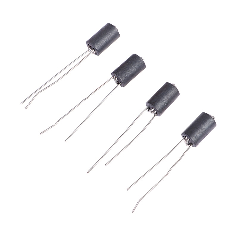 Ferrite Leaded Inductor Lazada PH