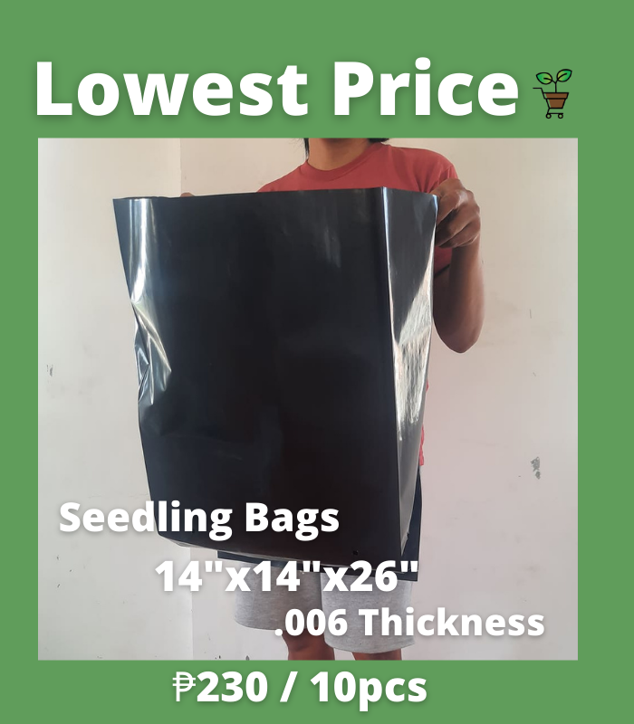 Biggest Seedling Bag 14x14x26 (set of 10pcs) / Black Plastic Pots for