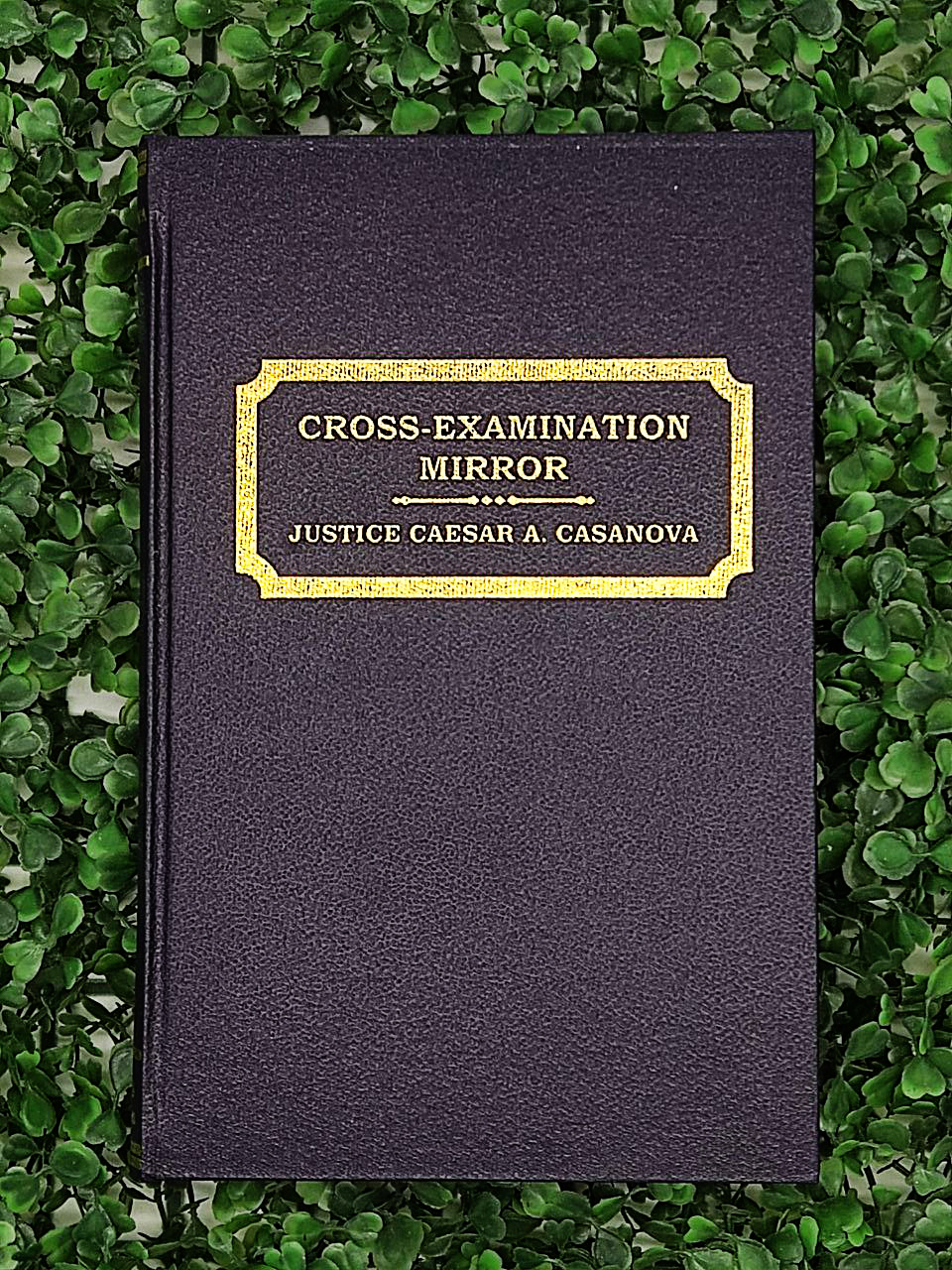 Cross Examination Mirror Law Book Lazada PH