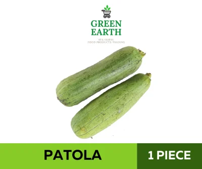 GREEN EARTH PATOLA 1pc