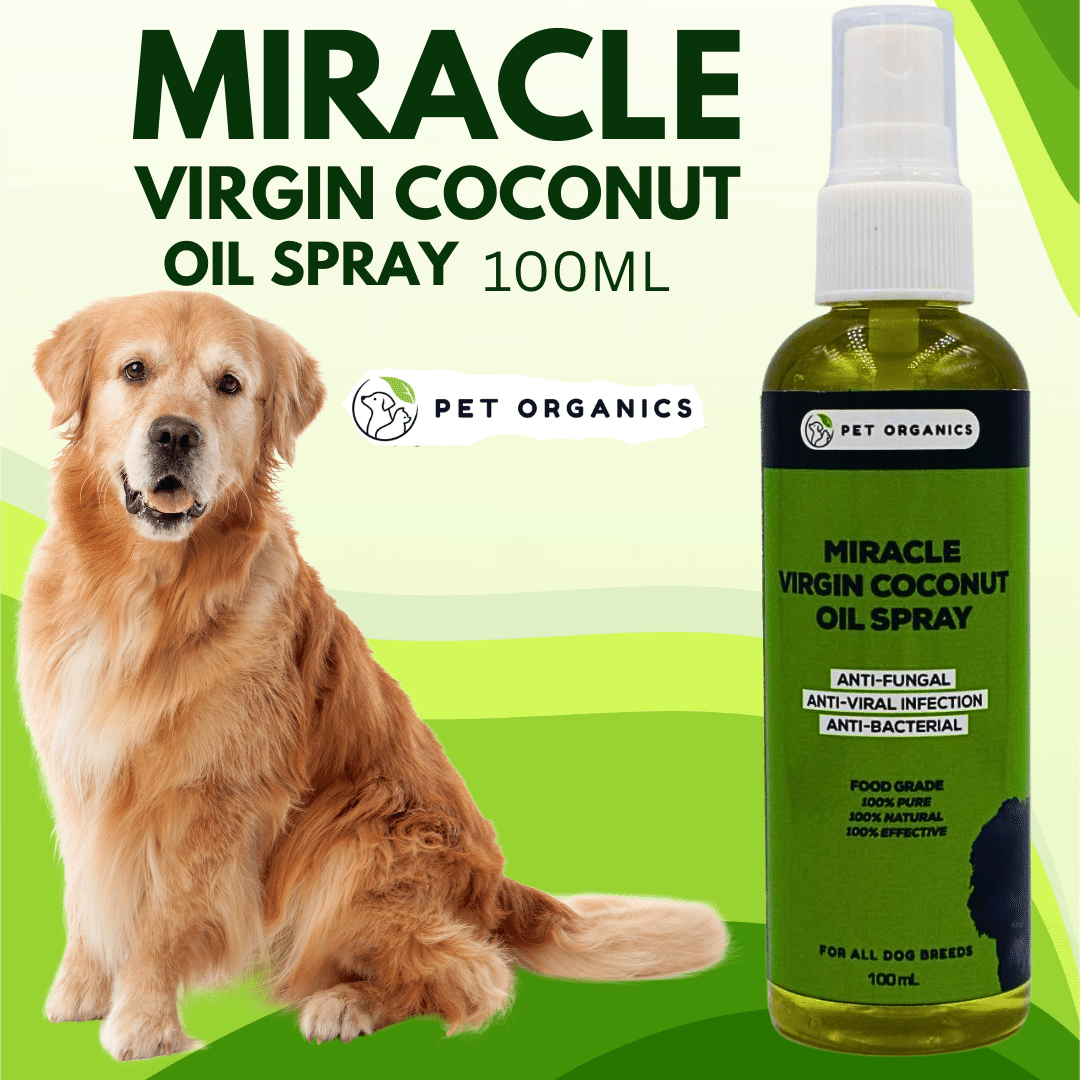 Coconut oil 2024 spray for dogs