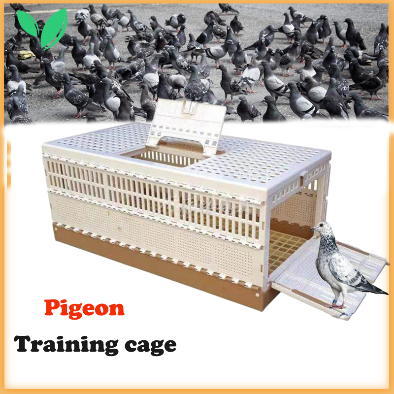 1Set Pigeon Training Box Folding Plastic Bird Cage Capacity 68 Pigeons