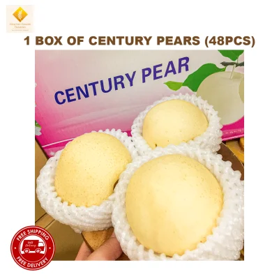 Century Pears 48pcs (FREE DELIVERY Metro Manila) | 1 box of Century Pears Fruits